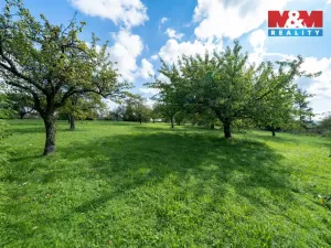 Prodej pozemku pro bydlení, Letkov, 3585 m2