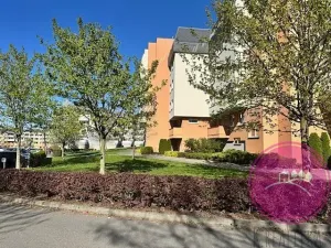 Pronájem garážového stání, Olomouc, Okružní, 13 m2