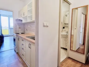 Prodej bytu 1+kk, Kroměříž, Oskol, 28 m2