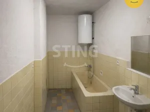 Prodej zemědělské usedlosti, Dvory nad Lužnicí, 347 m2