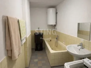 Prodej zemědělské usedlosti, Dvory nad Lužnicí, 347 m2