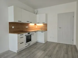 Pronájem bytu 1+kk, Plzeň, Goldscheiderova, 30 m2