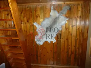 Prodej chalupy, Mařenice - Horní Světlá, 300 m2