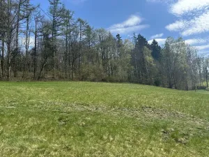 Prodej lesa, Loužnice, 5723 m2