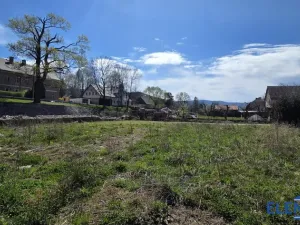 Prodej rodinného domu, Bělá pod Pradědem - Adolfovice, 200 m2