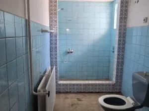 Prodej rodinného domu, Bělá pod Pradědem - Adolfovice, 200 m2