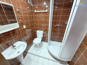 Pronájem bytu 1+1, Praha - Žižkov, Chelčického, 40 m2