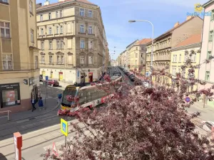 Pronájem bytu 4+kk, Praha - Žižkov, Chelčického, 118 m2