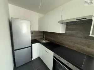 Pronájem bytu 2+kk, Chomutov, Žižkovo náměstí, 50 m2