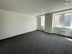 Pronájem bytu 2+kk, Chomutov, Žižkovo náměstí, 50 m2