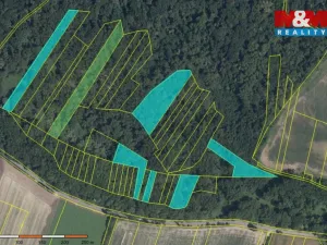 Prodej lesa, Přerov nad Labem, 70048 m2