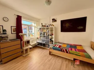 Pronájem bytu 1+kk, České Budějovice - České Budějovice 3, Nová, 30 m2