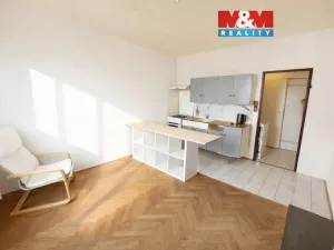 Pronájem bytu 1+kk, Bezdružice, Na Sídlišti, 22 m2
