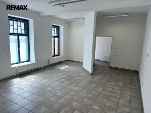 Prodej komerční nemovitosti, Třebíč - Jejkov, Smila Osovského, 250 m2