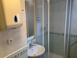 Prodej komerční nemovitosti, Třebíč - Jejkov, Smila Osovského, 250 m2