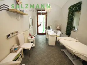 Pronájem obchodního prostoru, Plzeň, Bezručova, 15 m2