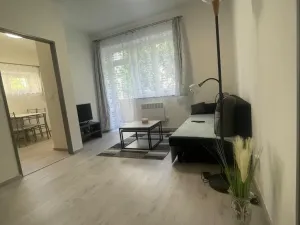 Pronájem bytu 3+1, Brno, Renneská třída, 42 m2