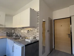 Pronájem bytu 1+1, Vsetín, Dolní Jasenka, 34 m2