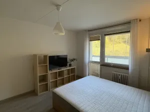 Pronájem bytu 1+1, Vsetín, Dolní Jasenka, 34 m2