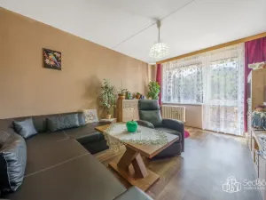 Prodej bytu 2+1, Kyselka - Radošov, 56 m2