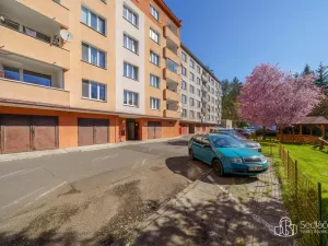 Prodej bytu 2+1, Kyselka - Radošov, 56 m2