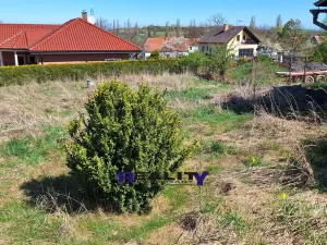 Prodej rodinného domu, Nepomyšl, 349 m2