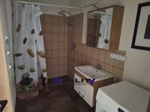 Prodej rodinného domu, Nepomyšl, 349 m2