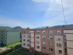 Prodej bytu 1+kk, Ústí nad Labem, Mlýnská, 22 m2