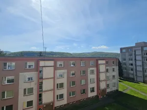 Prodej bytu 1+kk, Ústí nad Labem, Mlýnská, 22 m2