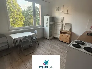 Pronájem bytu 1+1, Krupka, Karla Čapka, 35 m2