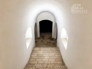 Prodej rodinného domu, Starovičky, 480 m2