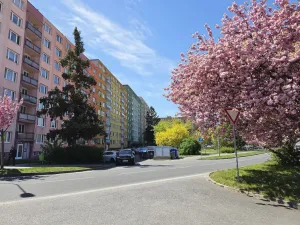 Pronájem garáže, Plzeň, Vojanova, 17 m2