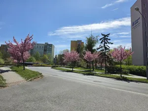 Pronájem garáže, Plzeň, Vojanova, 17 m2