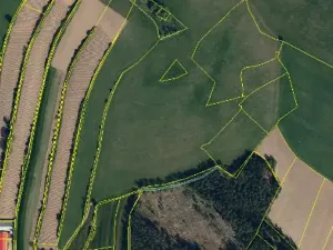 Prodej lesa, Červená Řečice, 496 m2