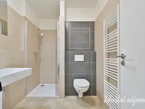 Pronájem bytu 1+kk, Brno, Křenová, 28 m2