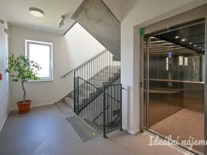 Pronájem bytu 1+kk, Brno, Křenová, 28 m2