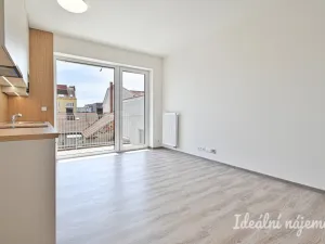 Pronájem bytu 1+kk, Brno - Trnitá, Křenová, 29 m2