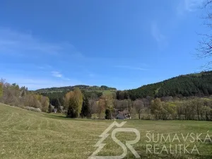 Prodej pozemku, Hartmanice - Chlum, 46489 m2