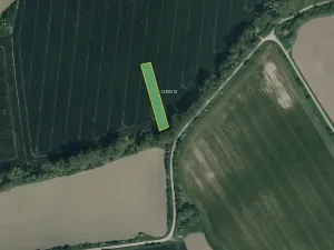 Prodej pole, Kněždub, 3809 m2