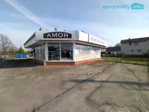 Prodej obchodního prostoru, Rakovice, 160 m2