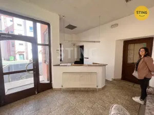 Pronájem obchodního prostoru, Opava, Rybářská, 30 m2