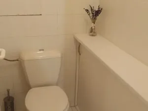 Pronájem bytu 2+1, Skuteč, Družstevní, 52 m2