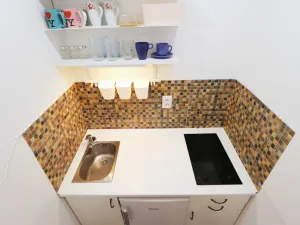 Pronájem bytu 1+kk, Brno - Veveří, Cihlářská, 29 m2