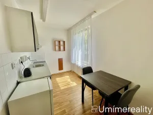 Pronájem bytu 1+1, Mladá Boleslav, Zalužanská, 42 m2