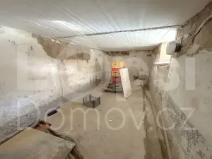 Prodej rodinného domu, Vlčice, 185 m2