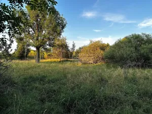 Prodej pozemku pro bydlení, Nová Ves, 1713 m2