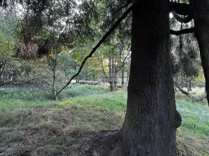 Prodej pozemku pro bydlení, Nová Ves, 4929 m2