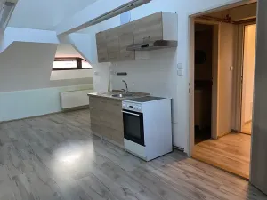 Prodej vícegeneračního domu, Žatec, náměstí 5. května, 400 m2