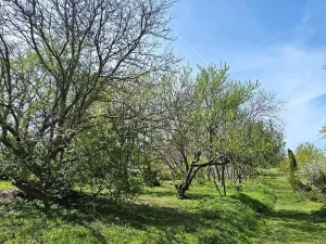 Prodej chaty, Brno - Líšeň, 14 m2