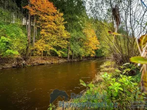 Prodej pozemku pro bydlení, Kaplice, 840 m2